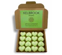 Velas de cera derretida, Manzana y Canela, 16 unidades, aroma intenso, fabricadas en el Reino Unido, libres de plástico, veganas