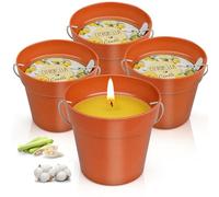 Velas de Citronela para Eexteriores, 4x200 g, Velas Grandes, 180 Horas de Combustión, Velas de Jardín con Aceite de Citronela y Cera de Soja Natural, Set de Regalo de Verano para Jardín, Balcón