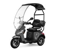 VELECO DRACO - dispositivo de movilidad de 3 ruedas - con techo y parabrisas - batería extraíble de iones de litio - potente motor - alarma - marcha atrás (Gris)
