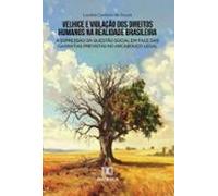 Velhice E Violação Dos Direitos Humanos Na Realidade Brasileira (ebook