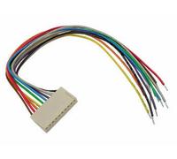 Velleman BTWF12 Conector con Cable para Ci - Hembra - 12 Contactos / 20cm