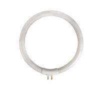 Velleman Lámpara de repuesto 12 W T4, blanco frío 6500 K, 720 lúmenes, energéticamente eficiente, sin parpadeo, compatible con la lámpara de aumento VTLAMP10, ideal para trabajos de precisión,