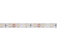 Velleman Tira LED, flexible, autoadhesivo, IP61, 300 LED, 5 m, 12 V, 6500k, blanco frío