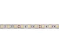 Velleman Tira LED, flexible, autoadhesivo, IP61, 300 LED, 5 m, 12 V, 6500k, blanco frío