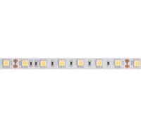 Velleman Tira LED, flexible, autoadhesivo, IP61, 300 LED, 5 m, 24 V, 6500k, blanco frío