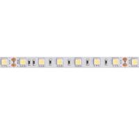 Velleman tira led flexible - color blanco frÍo - 300 leds - 5 m - 24