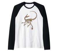 Velociraptor: Esqueleto de Dinosaurio, Huesos fósiles Camiseta Manga Raglan