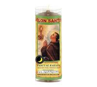 Velon A Los Santos San Pascual Bailon, Proteccion
