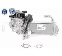 VEMO Módulo AGR para VOLKSWAGEN: Transporter (Ref: V10-63-0050)
