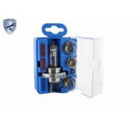 VEMO Surtido bombillas (Ref: V99-84-0020)