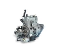 VEMO Bomba de alta presiÃ³n para VOLKSWAGEN: Golf, Passat, Polo, Touran, Tiguan, Scirocco, Caddy, Jetta, Eos, Sharan, CC (Ref: V10-25-0013-1)