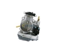 VEMO V10-81-0029 Cuerpo de mariposa