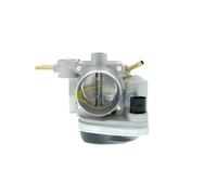 Piezas de motor > Inyección y carburación > Cuerpo de mariposa