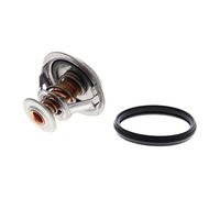 Piezas de motor > Refrigeración de motor > Termostato, refrigerante