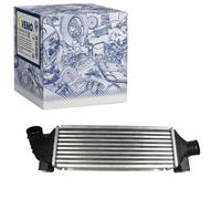 VEMO V25-60-0012 Radiador de aire de admisión