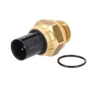 Piezas de motor > Refrigeración de motor > Interruptor de temperatura, ventilador del radiador