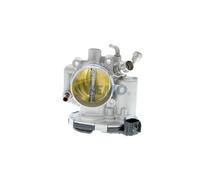 VEMO V40-81-0017 Cuerpo de mariposa