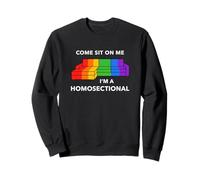 Ven Siéntate En Mí Soy Un Homoseccional Divertido Gay Orgullo Meme Sudadera