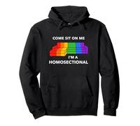 Ven Siéntate En Mí Soy Un Homoseccional Divertido Gay Orgullo Meme Sudadera con Capucha