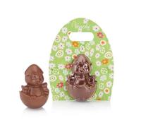 Venchi - Pollito de Chocolate con Leche, Sin Gluten, Vegano, 100 gr, Colección Pascua, Idea Regalo