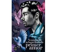 Venimos de un lugar llamado primer amor (Ficción)