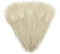 Venta al por mayor, 10 piezas de plumas de pavo beige raras de 25-30 cm (10-12 pulgadas), para bodas, disfraces, arreglos florales decorativos festivos (predeterminado)
