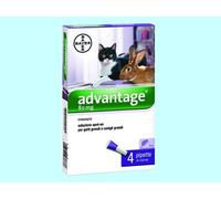 Ventaja Spot On Bayer 80 Gatos Prevención Tratamiento Pulgas Gatos