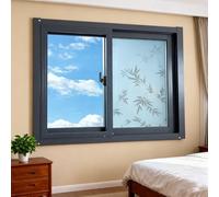 Ventanas de sótano, ventanas correderas, sustitución de ventanas de casas móviles, ventanas correderas con mosquiteras y vidrio esmerilado, protección de la privacidad.(50x60 cm)