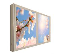 Ventanas Falsas Cuadros Decorativos Iluminada Flor de Almendro