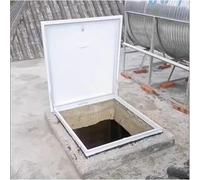 ventanas Trampilla de tejado Escotilla de acceso al tejado de acero galvanizado Puerta de ático resistente con tragaluz impermeable Ventana de tejado claraboya(In 50 * 50cm)