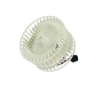 THERMOTEC DDB003TT Ventilador habitáculo