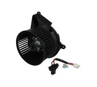 THERMOTEC DDM008TT Motor eléctrico, ventilador habitáculo
