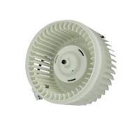 Ventilador de habitáculo THERMOTEC DDV001TT
