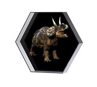 Ventilador de Holograma 3D PROYECTOR DE Holograma DE Holograma DE Pantalla DE Pantalla DE PANTALLAJE DE PANTALLAJE DE PANTALLAJE DIRIGIÓ Imágenes rotativas con Cubierta Protectora. Experiencia Visual