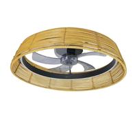 Cecotec Ventilador de Techo con Luz con Mando EnergySilence LampAero 600 Natural Design. Motor DC, 20W, LED de 45W, 5 Aspas de 17", 6 Velocidades, 3 Tonos de Luz, Temporizador, Modo Winter/Summer