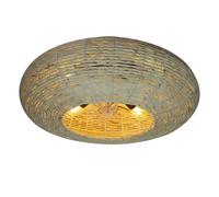 Cecotec Ventilador de techo con luz EnergySilence LampAero 600 DC 20W, LED, control remoto, 5 aspas