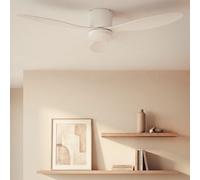 Ventilador de Techo con luz Silencioso DC Weimar para Exterior