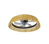 Ventilador de Techo Ecológico con Motor DC, Iluminación LED y Control Remoto de Cecotec