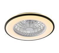 Ventilador de techo Leno (Negro, 49 cm, 48 W, RGB)