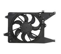 Thermotec Ventilador de refrigeración de motor D8R019TT