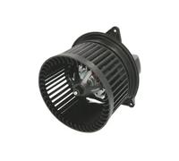 Ventilador del soplador DDG009TT THERMOTEC para FORD FOCUS I FOCUS I Sedán