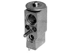 Ventilador Expandible Aire Acondicionado R 134a VALEO para U. A. Renault Clio