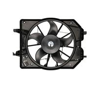 Ventilador, refrigeración de motor THERMOTEC D8G010TT