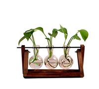 Venus valink - Jarrón de Cristal Transparente para Plantas con Soporte de Madera para Exteriores/Interiores, decoración del hogar, Oficina, Patio, Soporte para Plantas