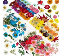veorly 144 Piezas de Flores Prensadas Secas Naturales para Resina, Kit de Hierbas Naturales una Granel de Flores Secas para Velas, Resina Epoxi, Manualidades de Bricolaje