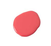 Vera & the Birds - Vegan Nail Polish Pretty Pink Lacas de uñas 14 ml PRETTY PINK