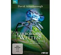 Verborgene Welten - Das geheime Leben der Insekten - David Attenborough [Alemania] [DVD]