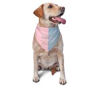 vercosee He Or She What Will It Be? Pañuelo para perro para revelación de género/anuncio de bebé, pañuelo para mascotas, uso diario, suministros de fiesta para fotos (color claro)