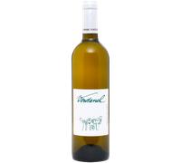 Verdanel 2021 - Domaine Plageoles