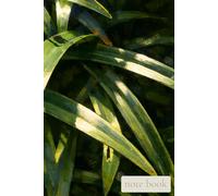 Verdant Brush Notebook, Artistic Botanical Journal with Oil Painting Texture, Premium Aesthetic Writing Diary for Creative Minds